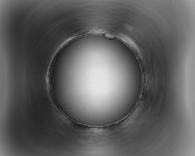 X0000089891190200707121825