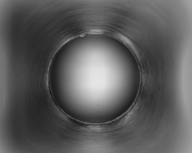 X0000089891194200707121825