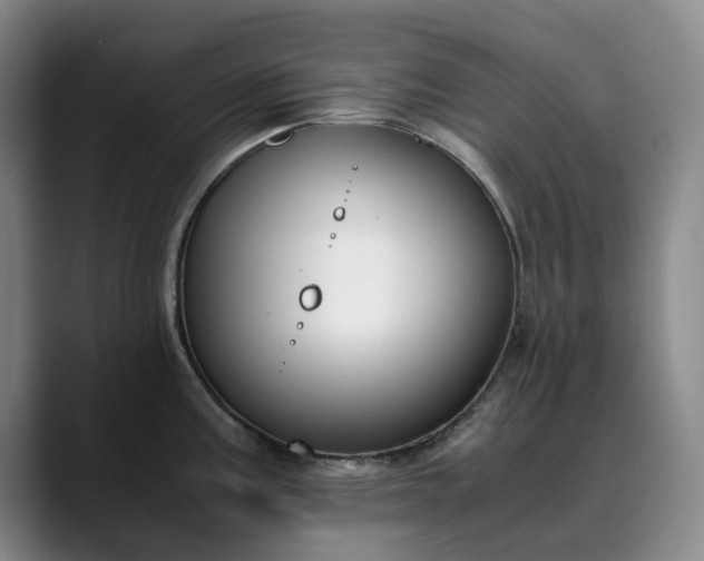 X0000089891195200707121825