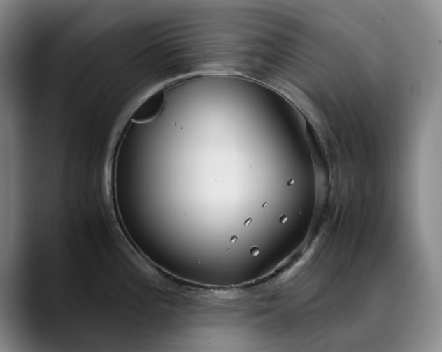 X0000089891196200707121825