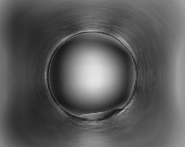 X0000089891197200707121825