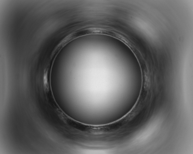 X0000089891198200707121825