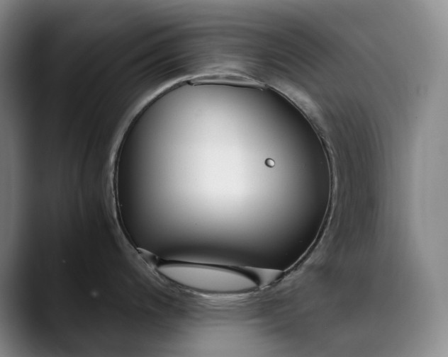 X0000089891200200707121825