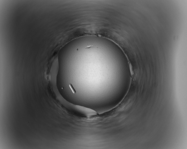 X0000089891202200707121825