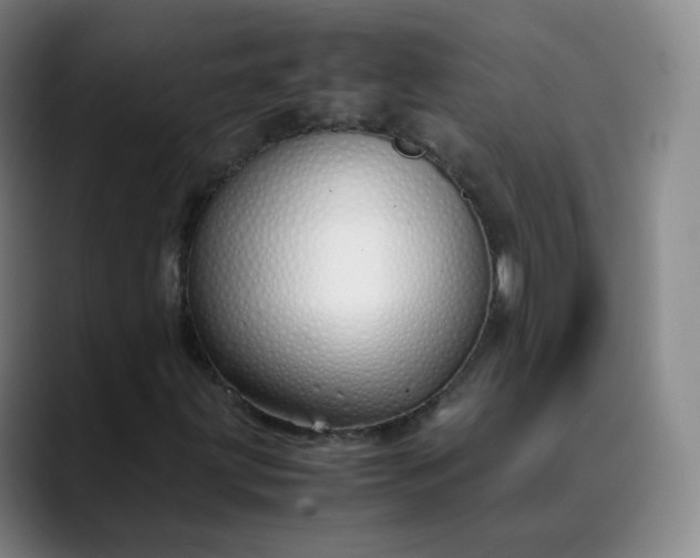 X0000089891203200707121825