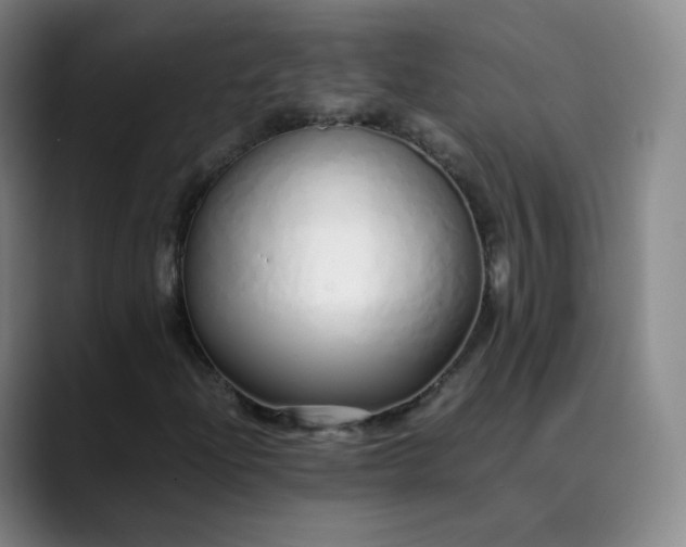 X0000089891204200707121825