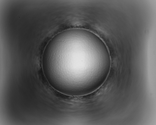 X0000089891205200707121825