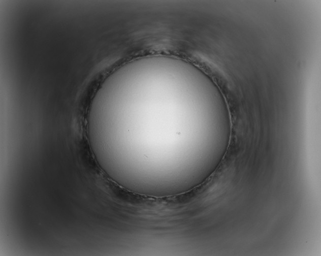 X0000089891207200707121825