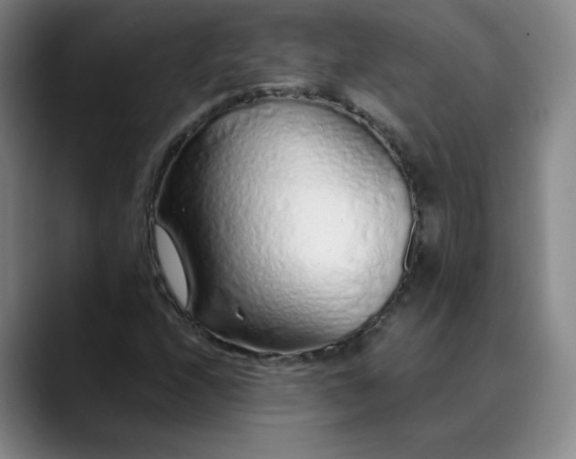 X0000089891208200707121825