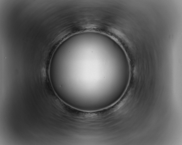 X0000089891209200707121825