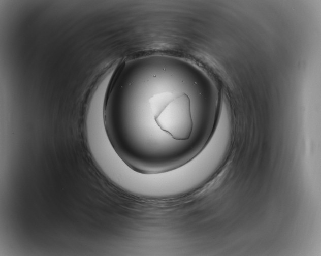 X0000089891210200707121825