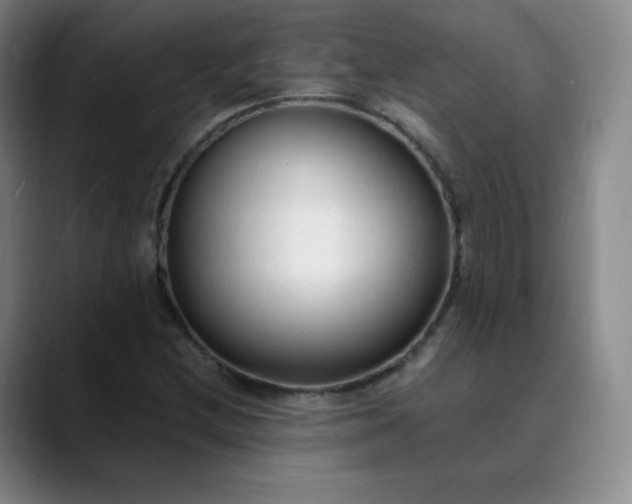 X0000089891212200707121825