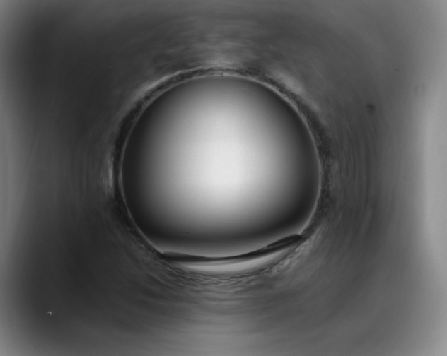 X0000089891214200707121825