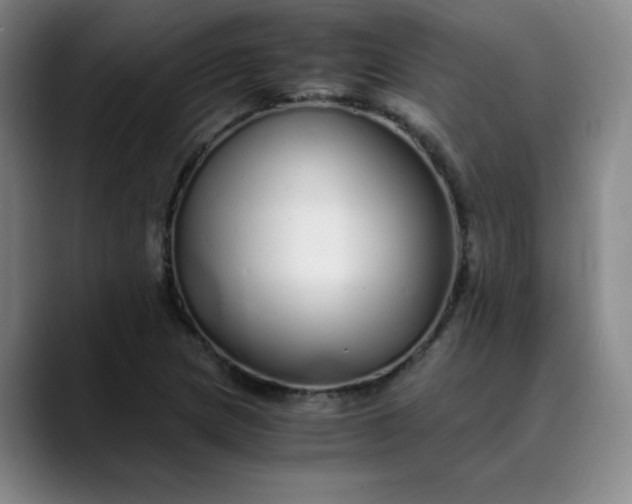 X0000089891217200707121825