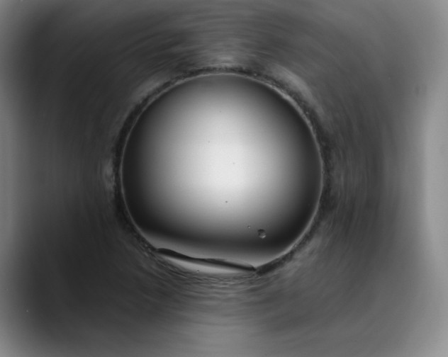 X0000089891218200707121825