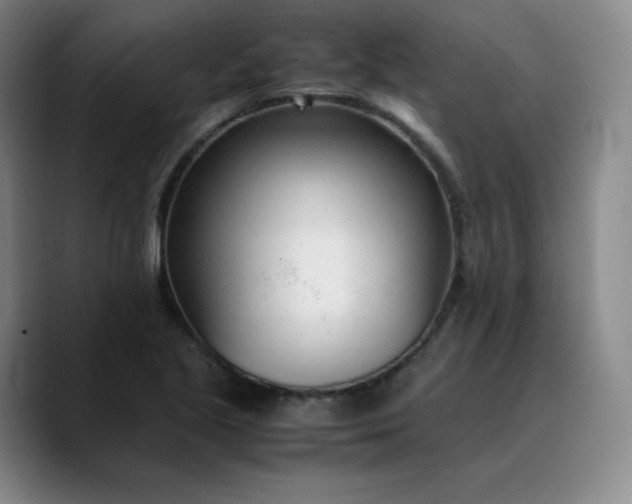 X0000089891221200707121825