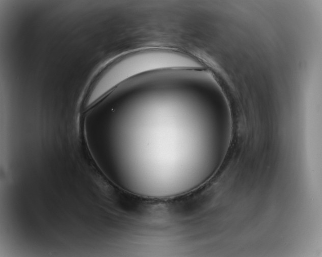 X0000089891222200707121825