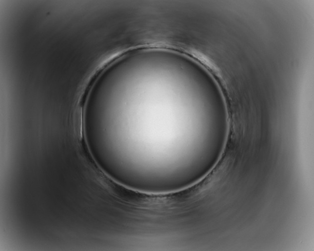 X0000089891223200707121825