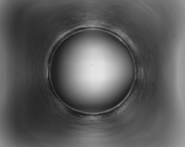 X0000089891224200707121825