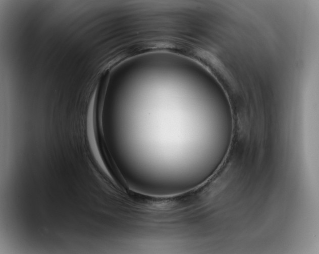 X0000089891225200707121825