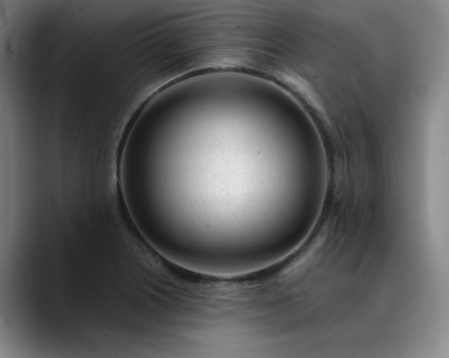 X0000089891226200707121825