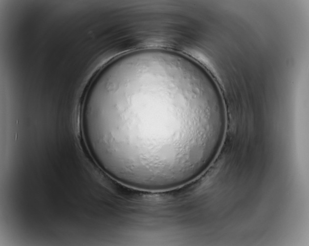 X0000089891227200707121825