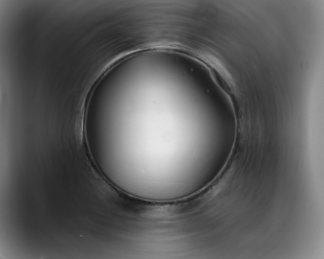 X0000089891228200707121825