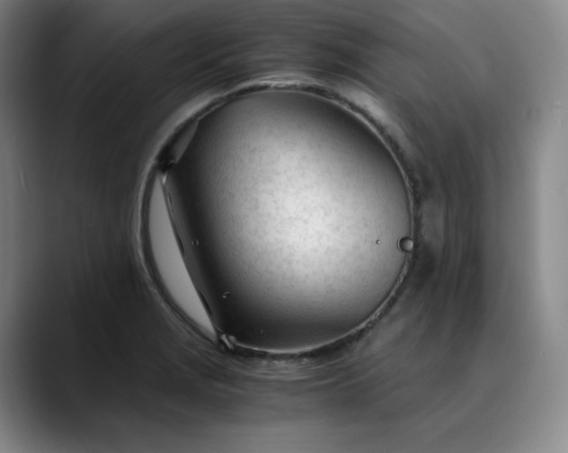 X0000089891229200707121825