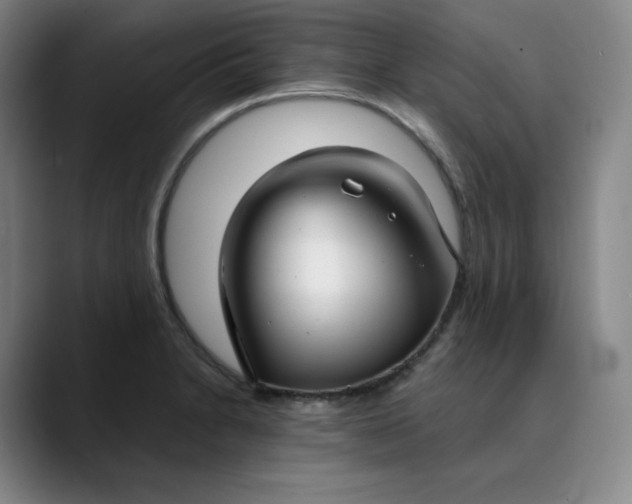 X0000089891230200707121825