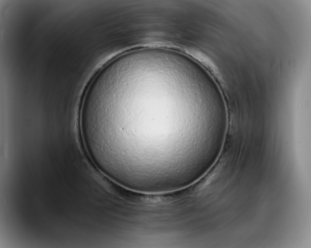 X0000089891231200707121825