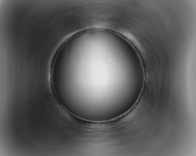 X0000089891232200707121825