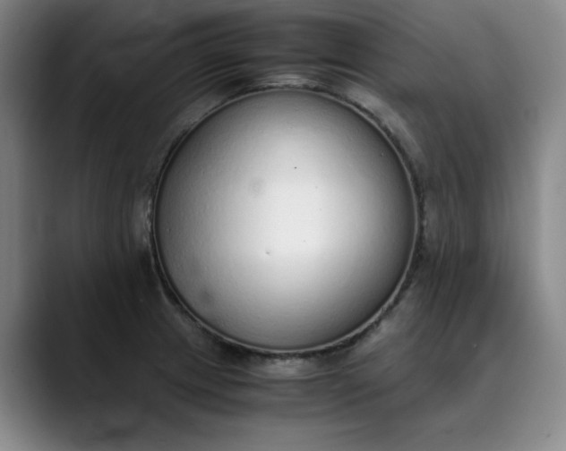 X0000089891233200707121825