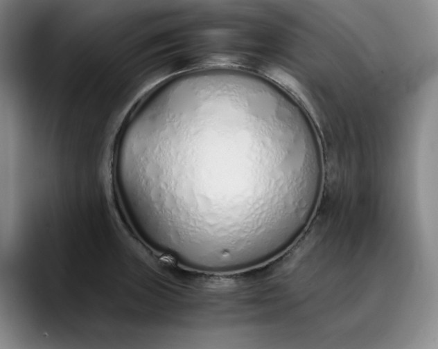 X0000089891235200707121825