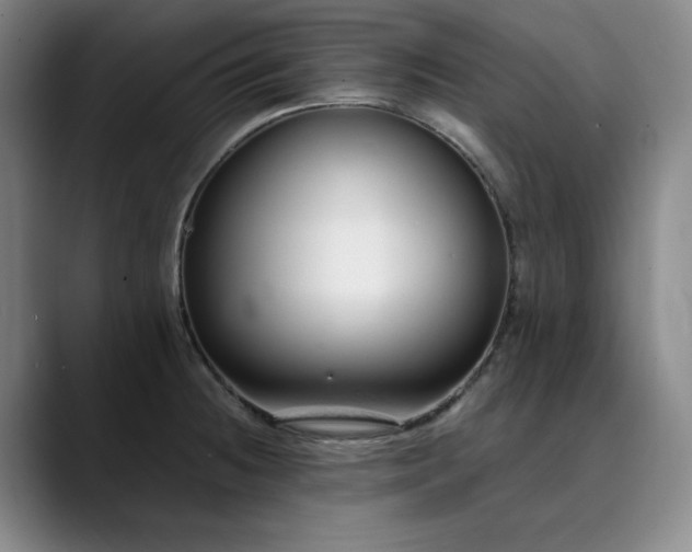 X0000089891236200707121825