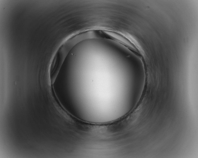 X0000089891238200707121825