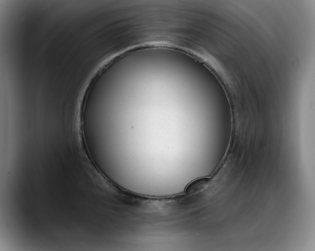 X0000089891240200707121825