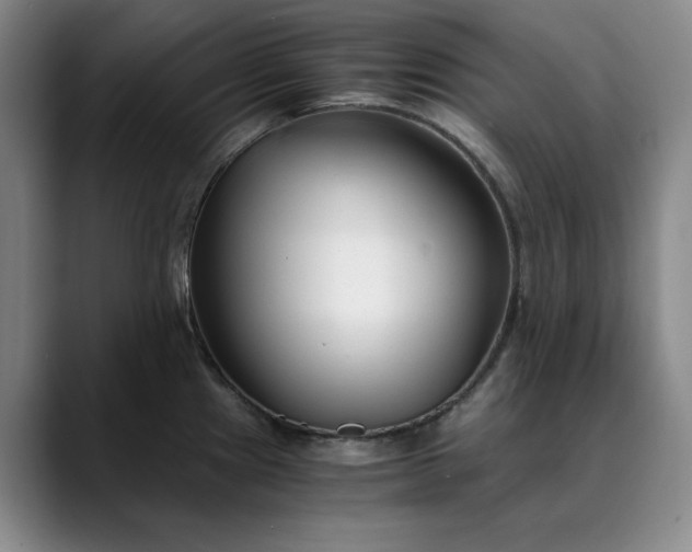 X0000089891241200707121825