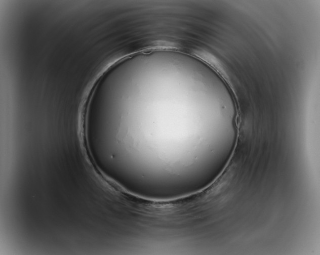 X0000089891243200707121825