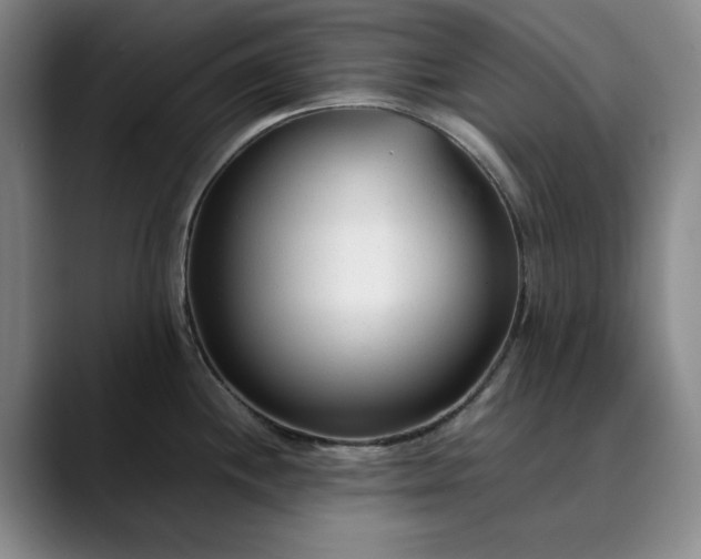 X0000089891244200707121825