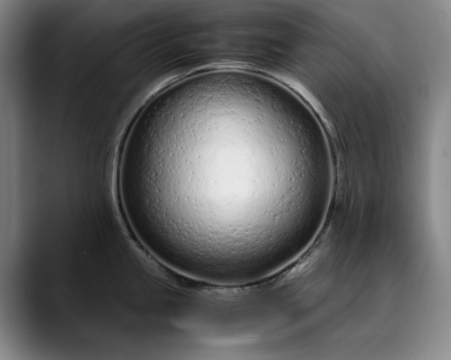 X0000089891245200707121825