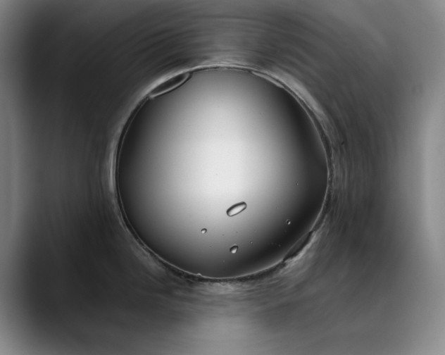 X0000089891246200707121825