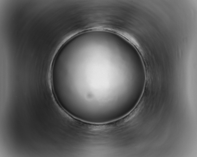 X0000089891247200707121825