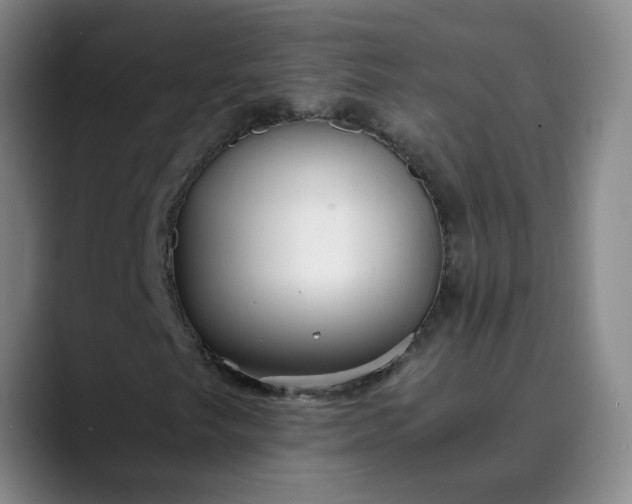 X0000089891249200707121825