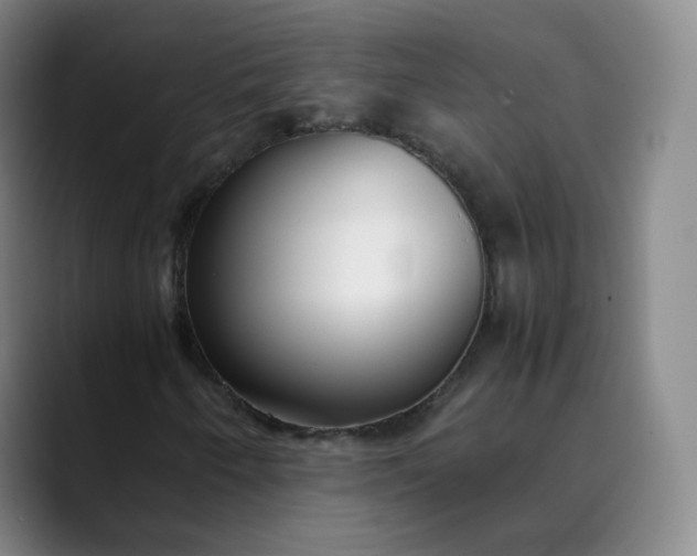 X0000089891250200707121825