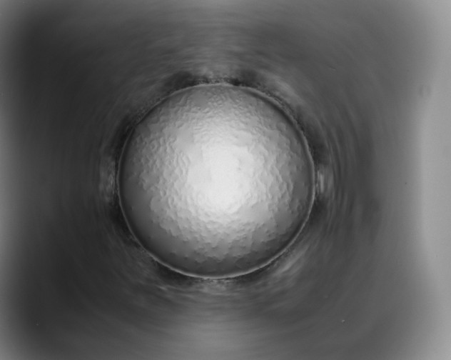 X0000089891251200707121825