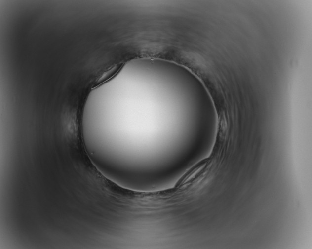 X0000089891252200707121825