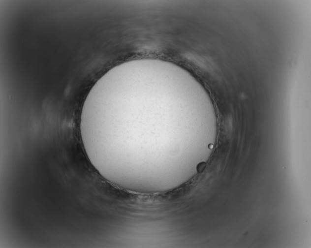 X0000089891254200707121825