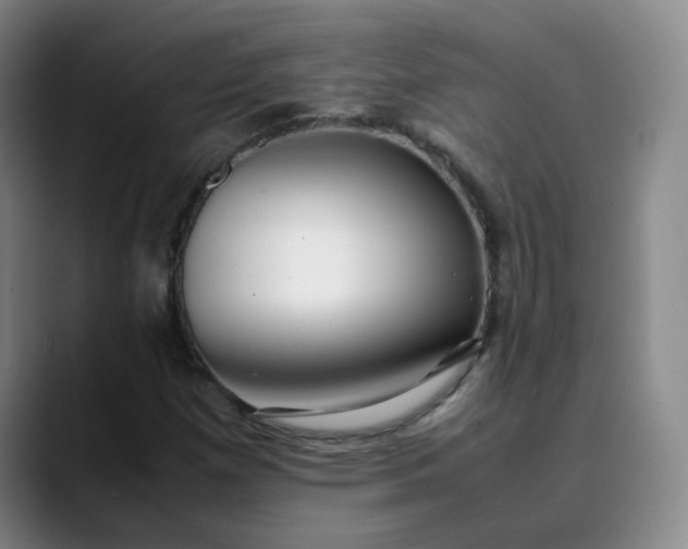 X0000089891257200707121825