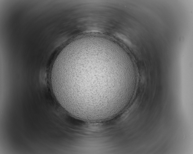 X0000089891258200707121825