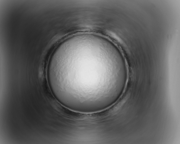 X0000089891259200707121825